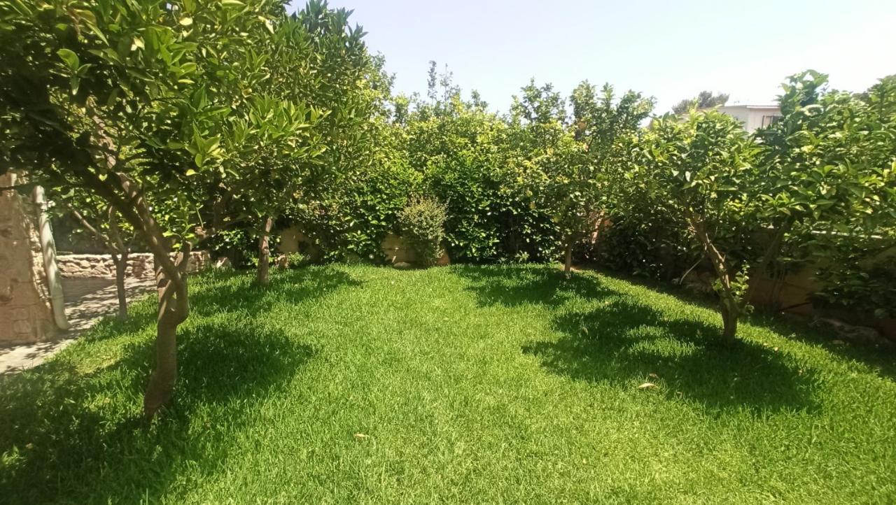 Sea Soul Villa Artemida  Dış mekan fotoğraf